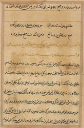 Pagina da Tales of a Parrot Tuti-nama: pagina di testo