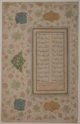 Pagina di Calligrafia, XVI secolo