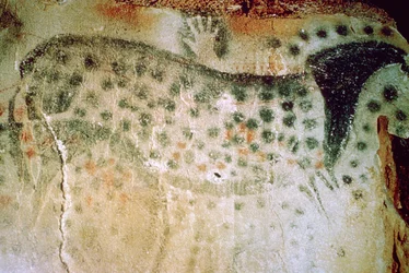 Pittura rupestre paleolitica di un cavallo e mani umane dalla Francia