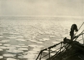 Ghiaccio a frittella nel Mare di Ross, c1908, 1909
