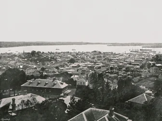 Vista panoramica dalle colline, Auckland, Nuova Zelanda, 1895