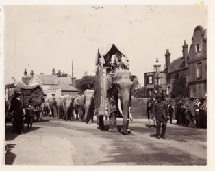 Parata di elefanti, circa 1905