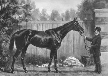 Paradosso, 1882-1890, 1911