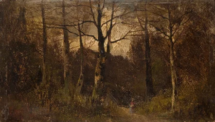 Sentiero nel Bosco