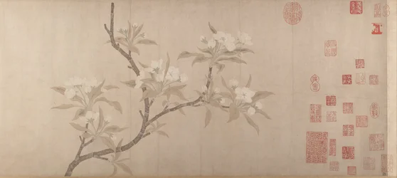 Fiori di pero