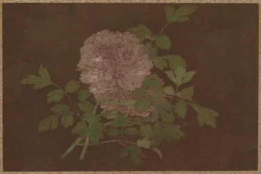 Peonie, XV secolo