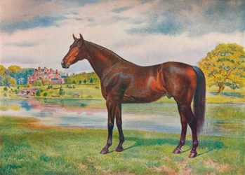 Cachi, c1905 c1910