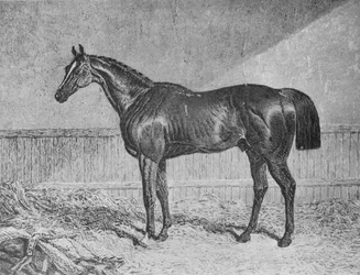 Plenipotenziario, 1831-1854, 1911