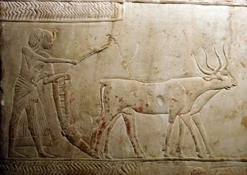 Aratura da una stele egizia, XVIII dinastia, 1332 a.C.-1323 a.C.