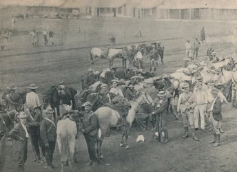 Cavallo di Plumer, c. 1900