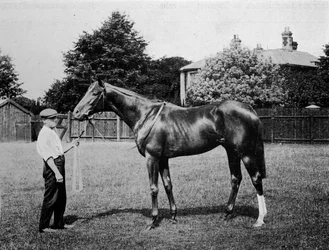 Stella Polare, 1911
