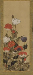 Papaveri, periodo Edo