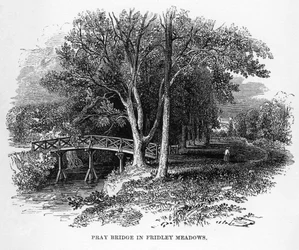 Ponte Pray nei prati di Fridley, Surrey