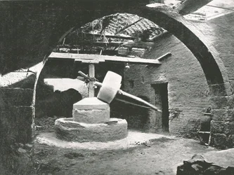 Mulino primitivo per il grano, Delta del Nilo, Egitto, 1895
