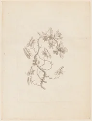 Stampa
