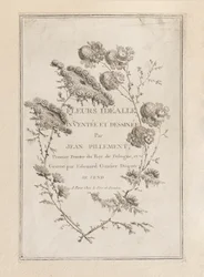 Stampa