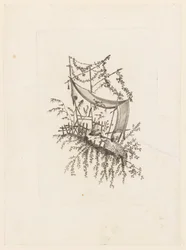 Stampa