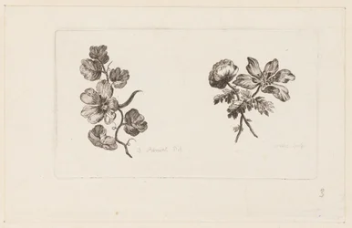 Stampa