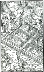 Produzione di sale evaporando acqua di mare in saline, 1556
