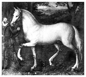 Cavallo della regina Elisabetta I, 1896