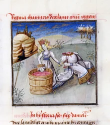 Regina Tomiri. Da: Speculum Humanae Salvationis Specchio della Salvezza Umana di Ludolph di Sassonia