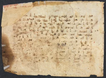 Folio di manoscritto del Corano, 800-900