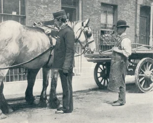 Ispettore RSPCA che esamina un cavallo, c1903