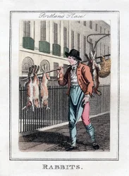 Conigli, Portland Place, Londra, 1805