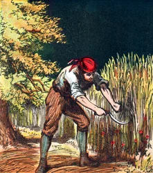 Mietitore che inizia a tagliare il raccolto di grano con una falce, 1867