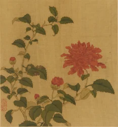 Peonia rossa, dinastia Qing