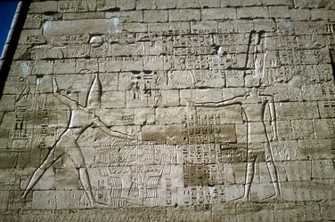 Rilievo di Ramesse III che colpisce i nemici, Tempio funerario di Ramesse III, Medinat Habu