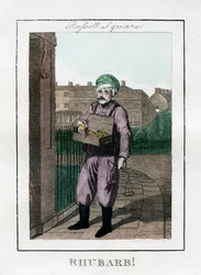 Rabarbaro, Russell Square, Londra, 1805