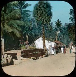 Strada da Colombo a Galle, Colombo, Ceylon, fine XIX o inizio XX secolo