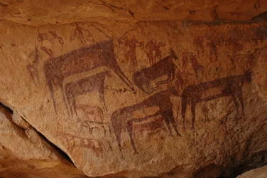 Arte rupestre, Preistoria: Pittura rupestre di un gruppo di bovini inclusi alcuni inginocchiati e un gruppo di personaggi inclusi arcieri in un riparo ornato, nel massiccio di Uweinat, Sudan (Karkur-Talh o Karkur Talh). Periodo da 8000 a 3000 anni a.C. Fot