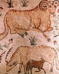 Mosaico romano di un ariete, una mucca e un vitello, IV secolo d.C.
