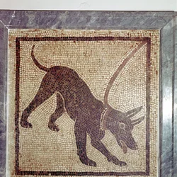 Mosaico romano di cane, Cave Canem, Pompei, Italia
