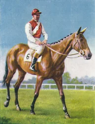 Royal Danieli, fantino: D. Moore, 1939