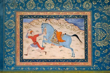 Cavallo Reale e Corridore