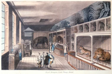Menagerie reale, Exeter Change, Strand, Londra, c1820