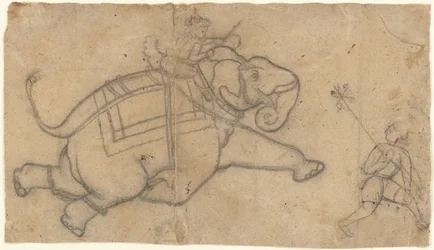 Elefante in corsa recto, foglio di pratica di schizzi di elefanti verso, metà del XVIII secolo