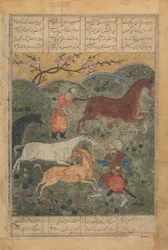 Rustam Cattura il Cavallo Rakhsh, Foglio da un Libro di Shahnama