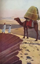 Sahara, c1930