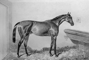 Saucebox, c1840-1880, 1911