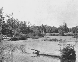 Scena in Mississippi, USA, c1900
