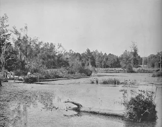 Scena in Mississippi
