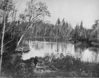Scena sul fiume Peshtigo, Wisconsin, c1897