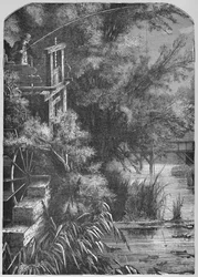Scena su un torrente che sfocia nel Little Juniata, 1883