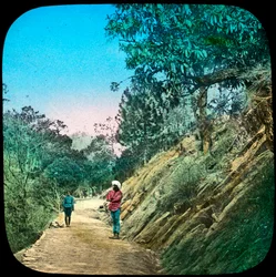 Scena su una strada, Murree, India, fine XIX o inizio XX secolo