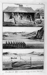 Pesca in mare, aringhe e sardine, 1751-1777