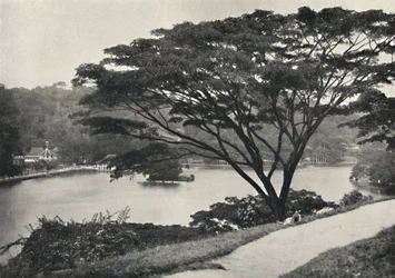 Tempio del Sacro Dente e Biblioteca a Kandy, visto dal Victoria Drive